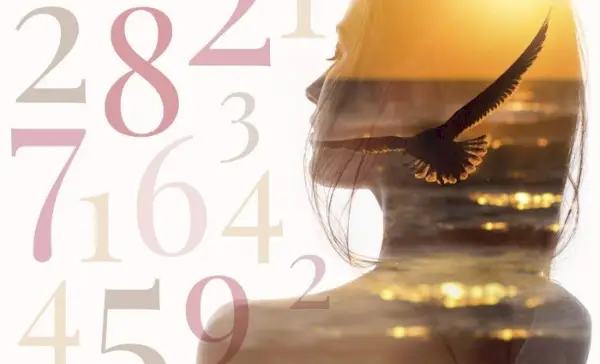 Sobre Numerologia