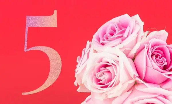 Numerologie Lebensweg 5 Kompatibilität