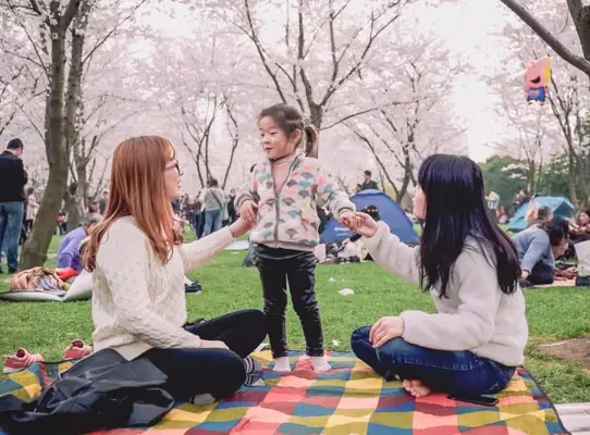 angel number 2244 message