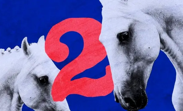 Nummer 2 Betydning i Numerologi
