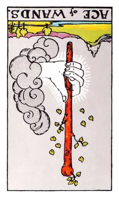 ace of wands reversed