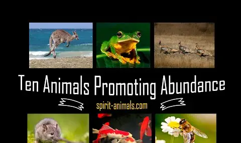 Přehrávač YouTube