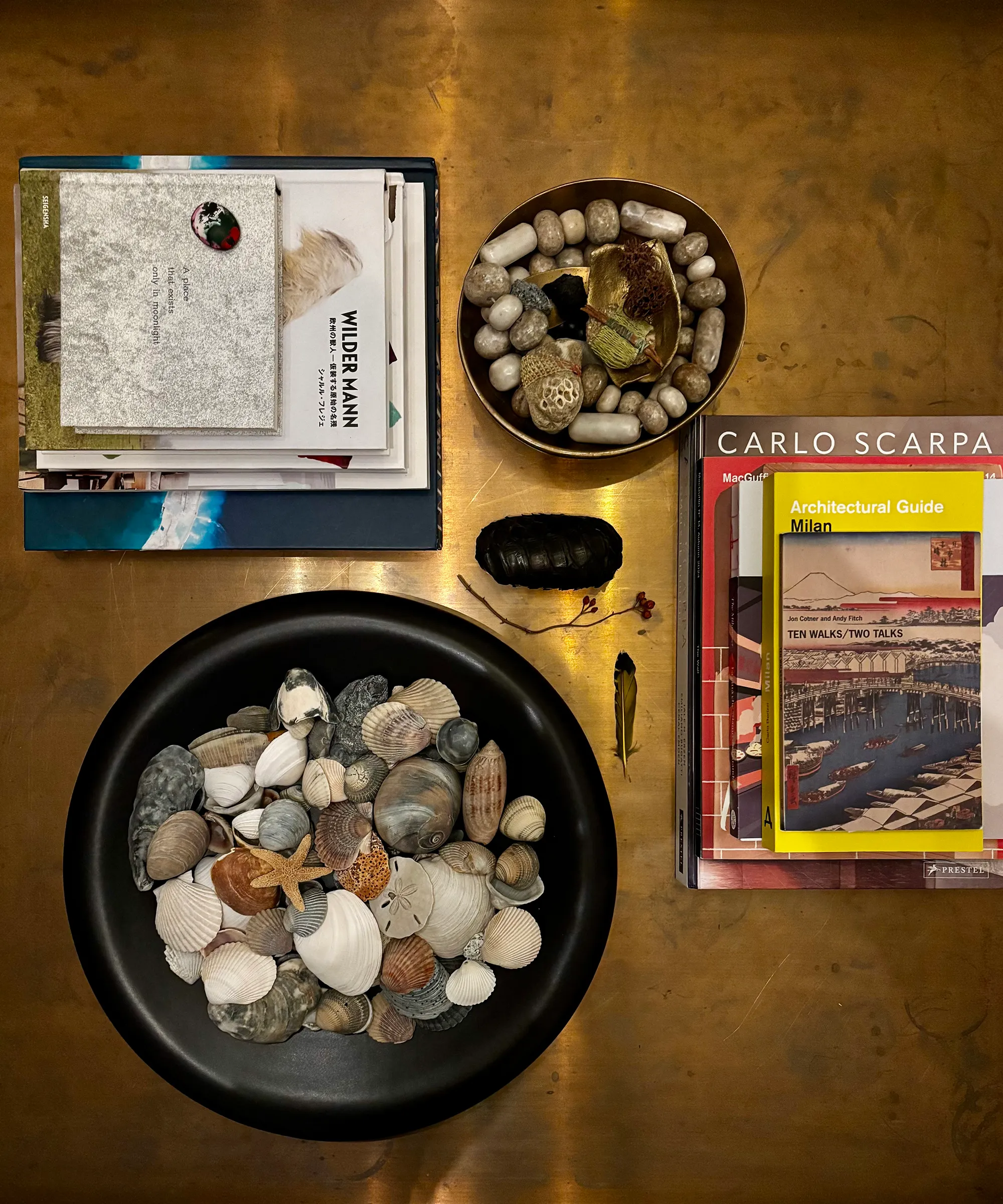 Draufsicht einer Schale mit Muscheln auf einem Couchtisch' loading='lazy' title=