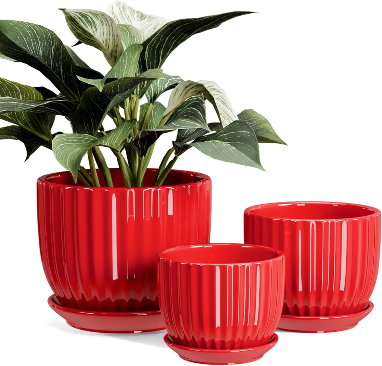 Ton Sin Vasi per Piante in Ceramica - Set di 3 Fioriere Rosse da 4/5/6 Pollici con Fori di Drenaggio e Sottovaso - Vasi da Fiori per Piante da Interno Fioriere in Ceramica per Giardinaggio Interno Vasi per Piante Grasse' loading='lazy' title=
