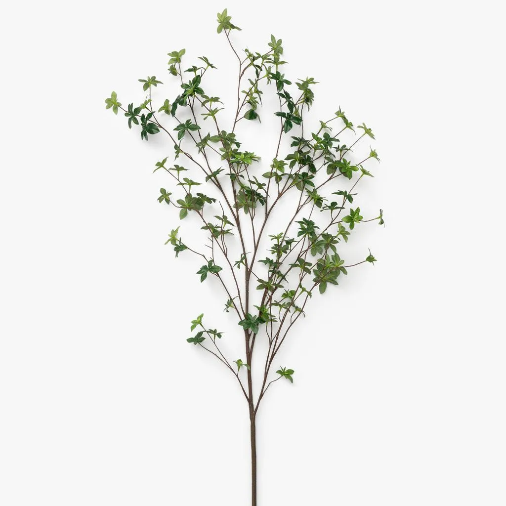 Branche de fausse gypsophile' loading='lazy' title=