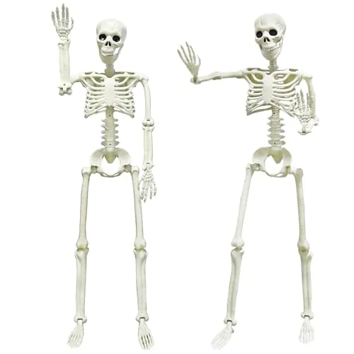 Camirus 2pack 36 Skjelett Halloween-dekorasjoner 3 fot Life Full Size Skjelett med realistiske flyttbare ledd for Halloween Haunted Houses Plen kirkegård' loading='lazy' title=