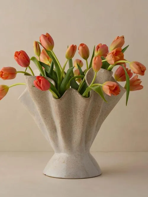 Vaso Dárcia' title=