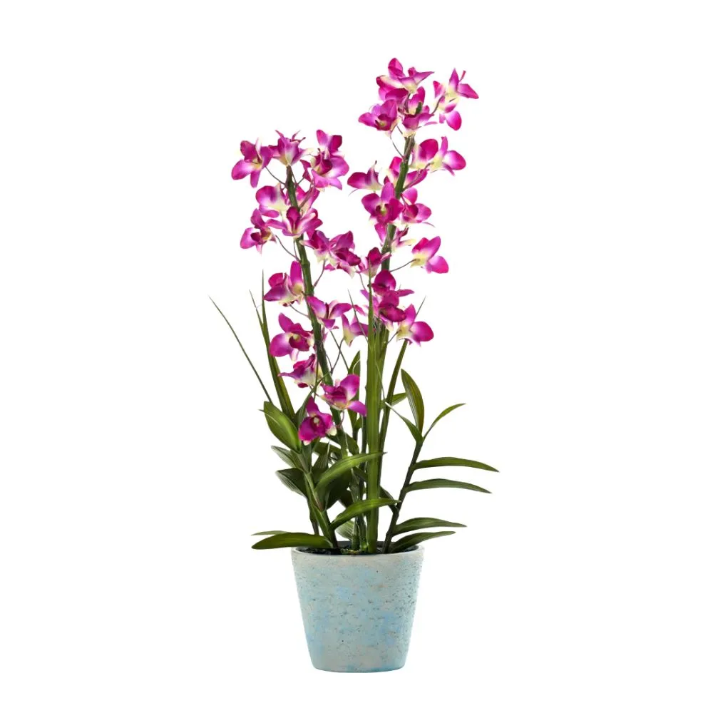 Orquídea roxa falsa em vaso' loading='lazy' title=