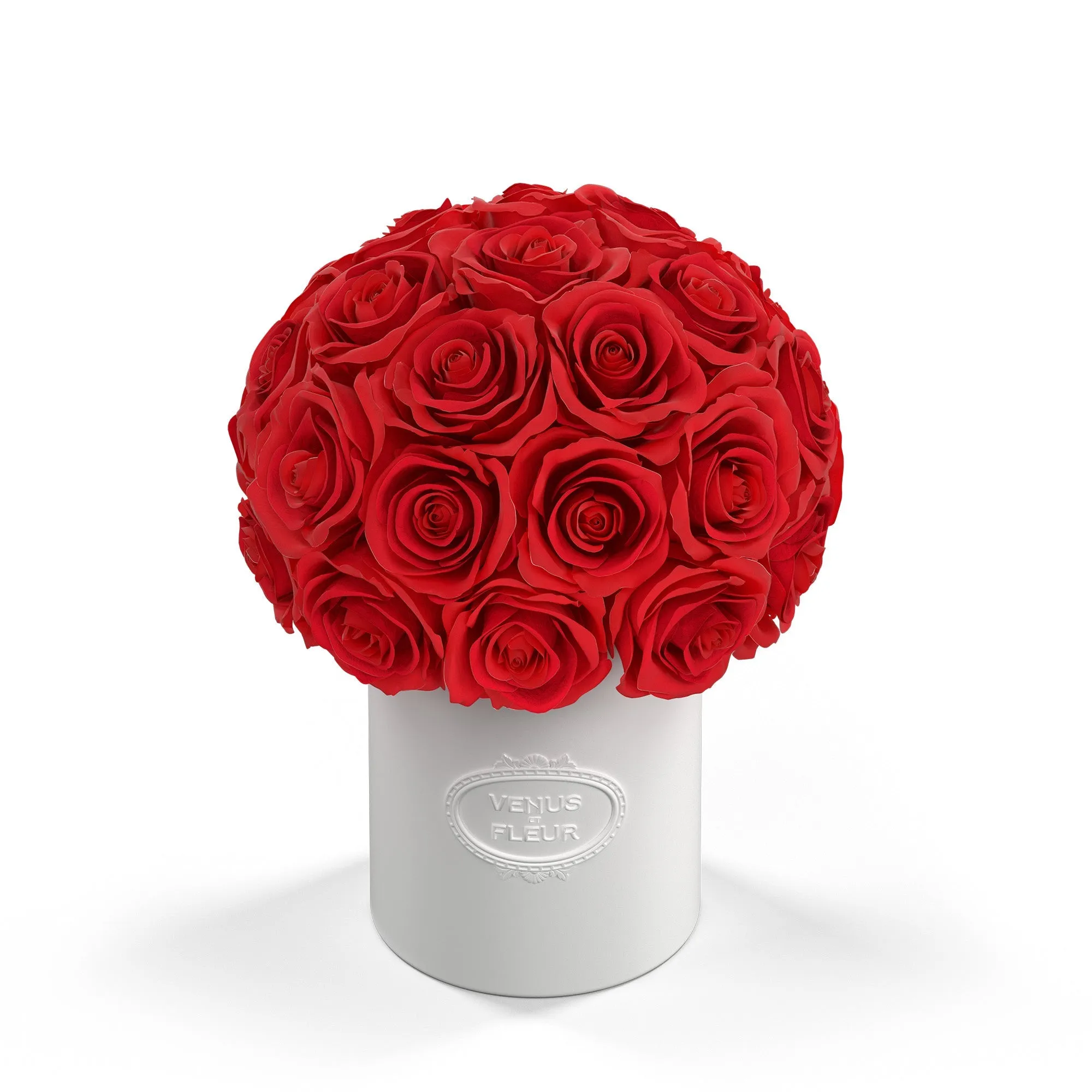 Ruže / červená' loading='lazy' title=