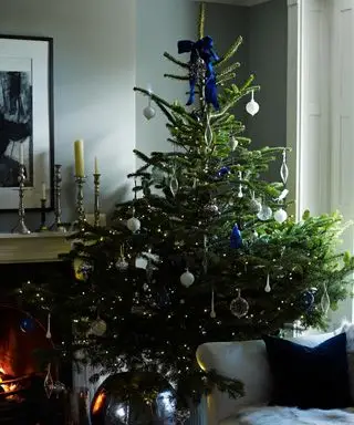暖炉のそばに飾られたクリスマスツリー