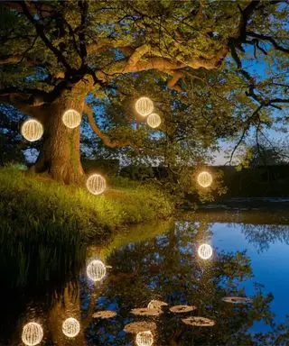 Weihnachtsbeleuchtung im Freien am Baum über dem See