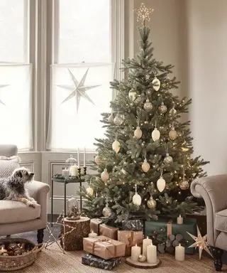 クリスマスツリー、ヒヨドリ、キャンドル