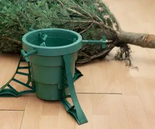 Dårligt lugtende juletræ? 5 eksperttips til at friske dit rigtige eller kunstige træ op