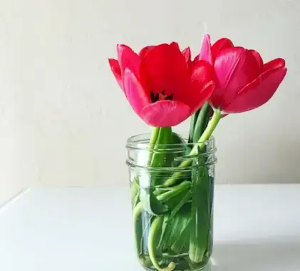 get rid your stuff declutter your life