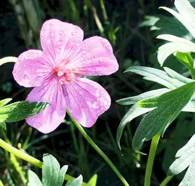 7 semplici verità su come vestirsi con meno