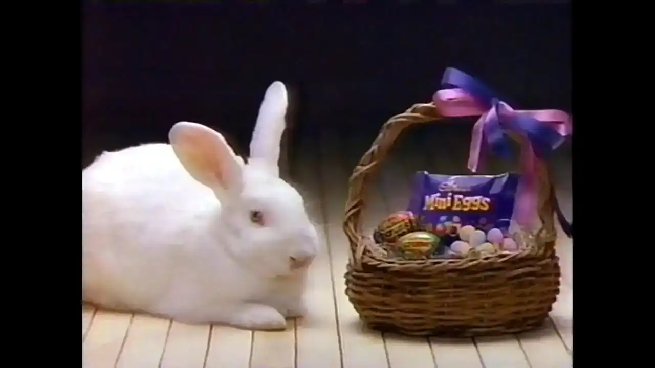 Cadbury Bunny