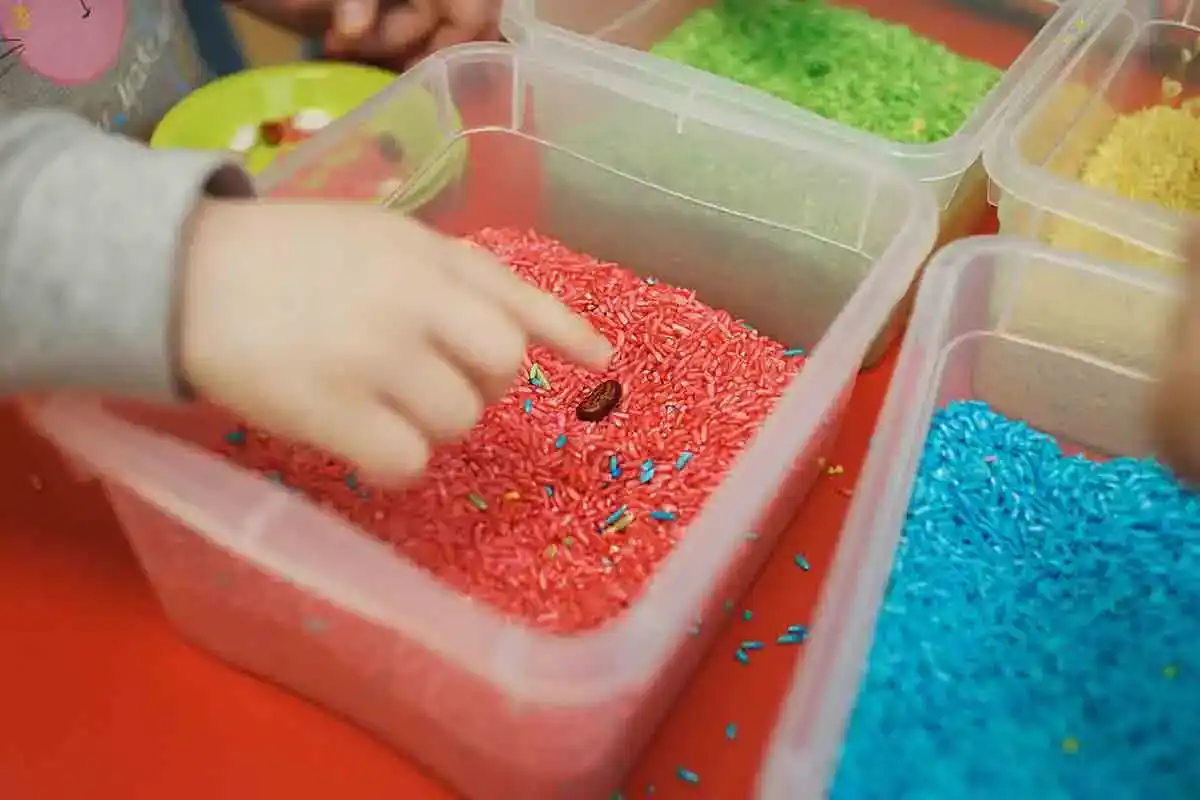 Sensory Bin