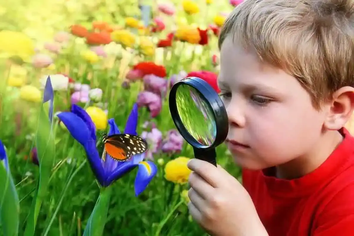 10 פעילויות חוצות לילדים