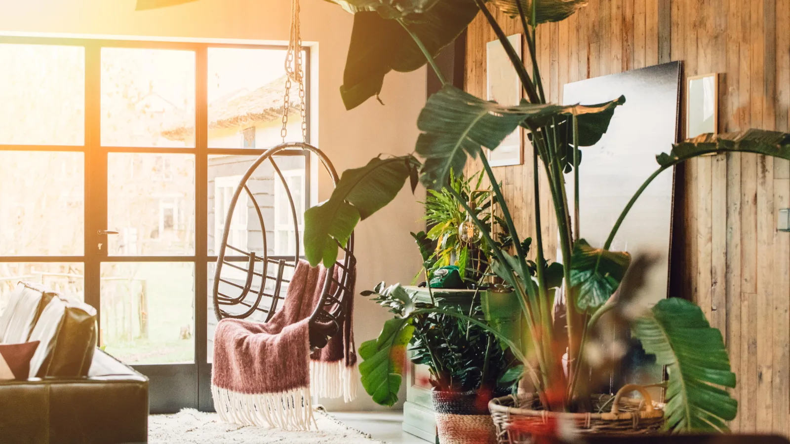 Feng Shui House Plant Errokes' loading='lazy' title=