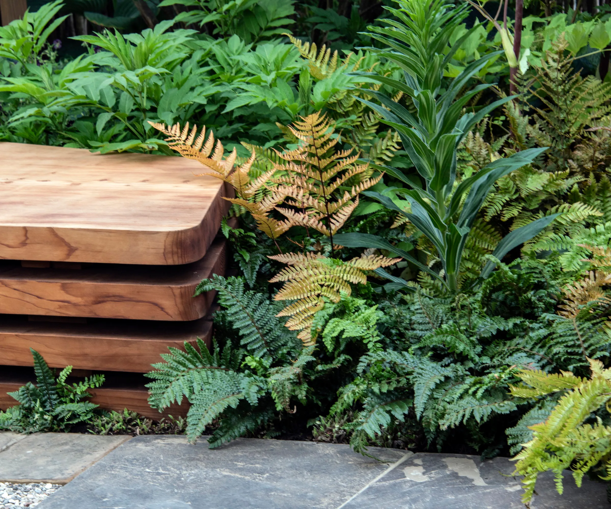 Une collection de fougères et de plantes de feuillage à côté d'un banc en bois sur un jardin de fleurs de Chelsea' loading='lazy' title=