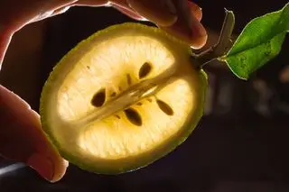 limon con semillas