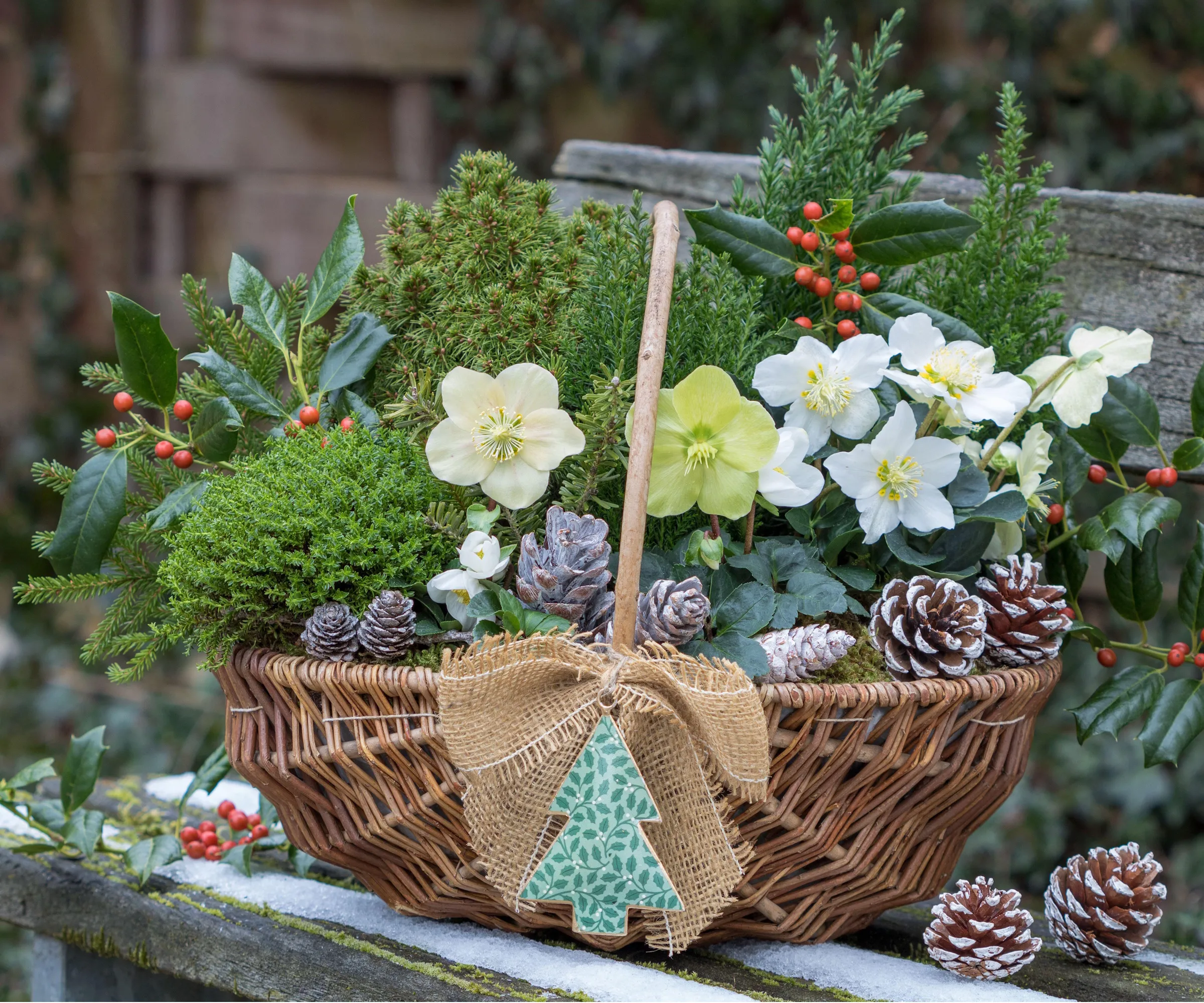 Weihnachtsbehälter' loading='lazy' title=