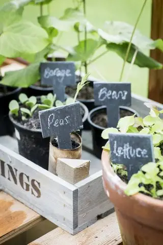 Ideas de huerta - macetas