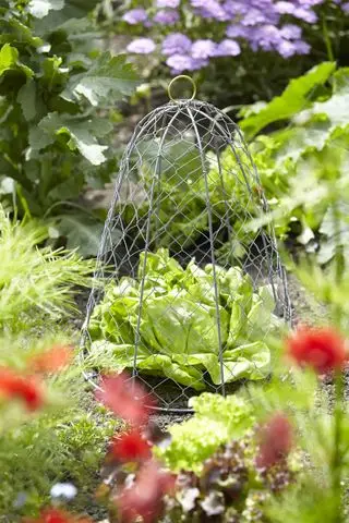 Ideas de huerta campana