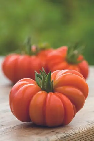 Ideas de huerta - tomates