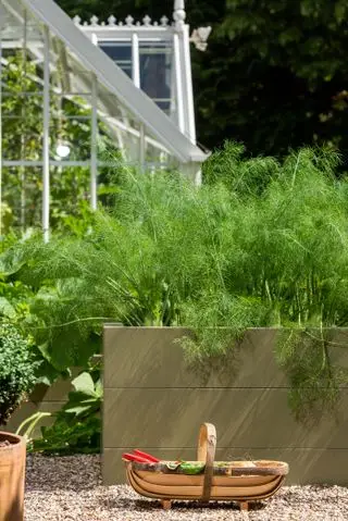 Ideas de huertos familiares: camas elevadas