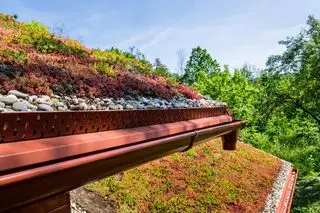 Omfattende grønt økologisk levende spadetag dækket med vegetation