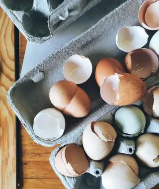 Cáscaras de huevo en una cocina.