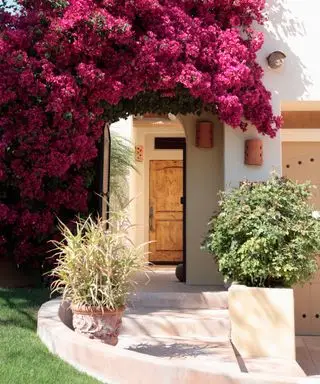 buganvílias rosa ao redor da porta