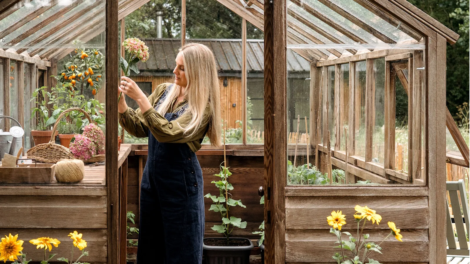 Kvinne i hagen skur og holder en kuttet hortensia -stilk' loading='lazy' title=
