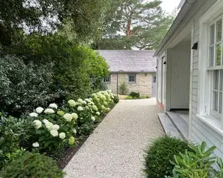 sempreverde utilizzato per la schermatura e la copertura accanto al percorso della casa e del giardino