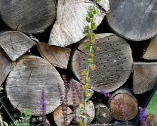 Hotel de insectos creado a partir de una pila de troncos como idea de jardín de vida silvestre