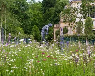 Pradera de flores silvestres con estatua más allá en un jardín diseñado por The Garden Design Company