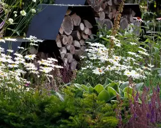 Idea de jardín de vida silvestre hotel de abejas en escultura en forma de panal