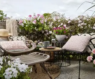 jardin sur balcon avec conteneurs plantés de pélargoniums