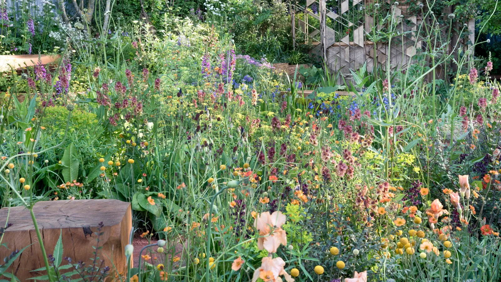 Ein Sommerblumenbett gefüllt mit Pfirsichorange und lila Blüten in Blüte' loading='lazy' title=
