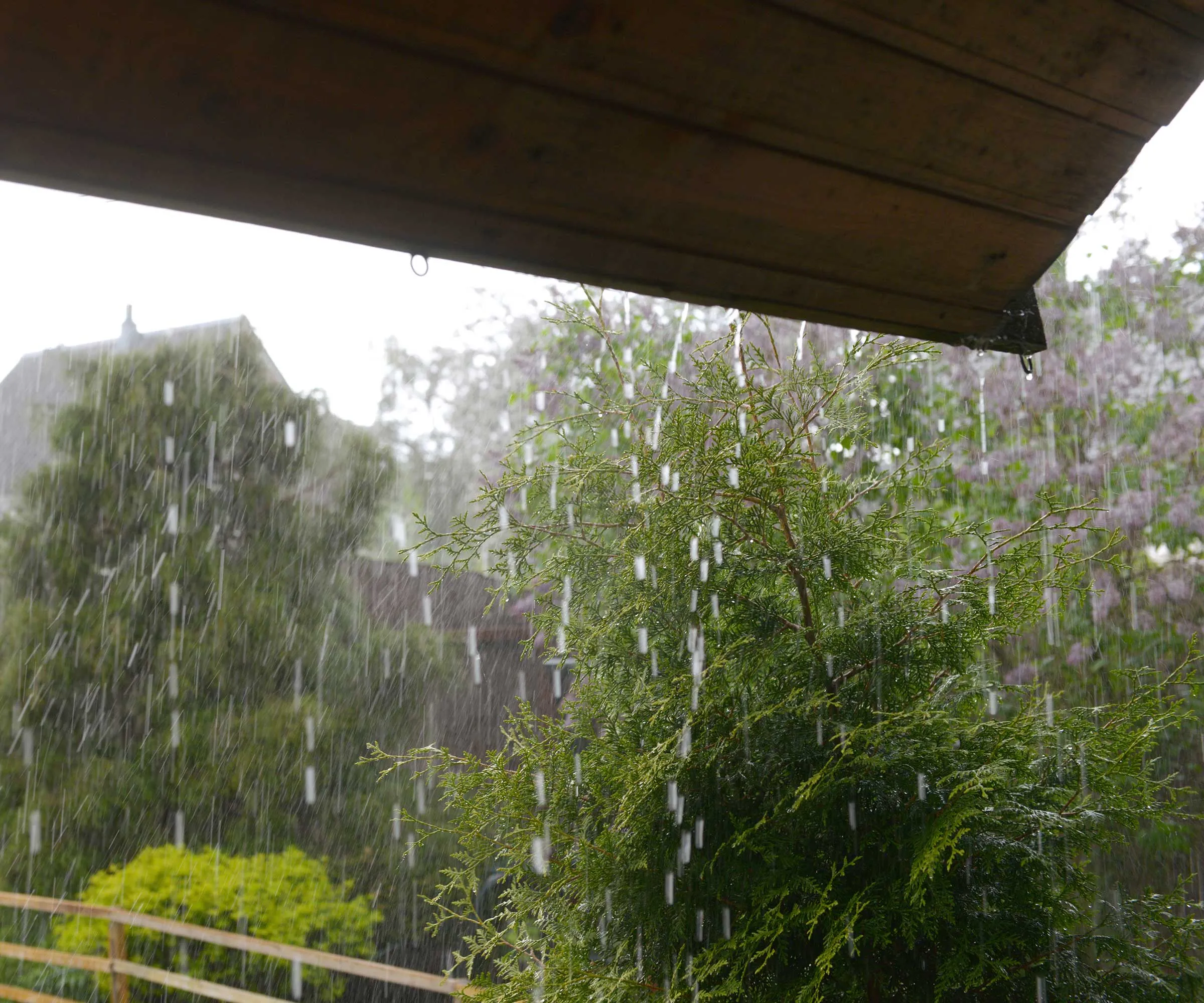Regn falder af taget' loading='lazy' title=