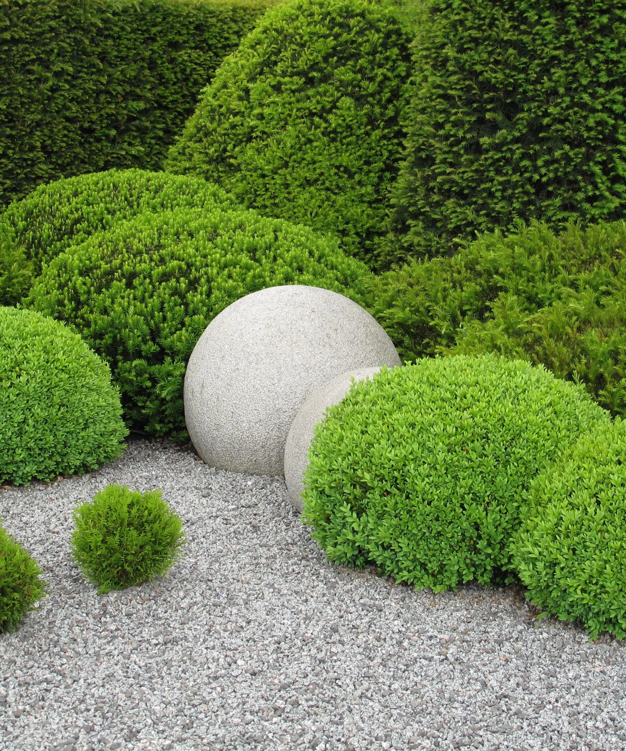 Bartrær i en hage' loading='lazy' title=