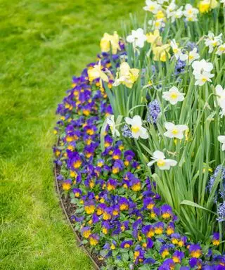 Cómo bordear un parterre de flores: eleva tus bordes en solo 3 pasos