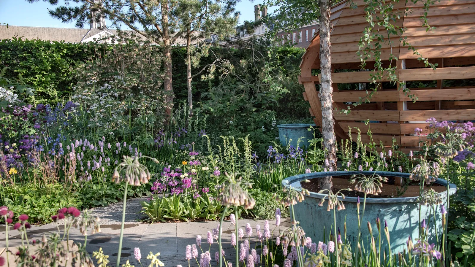 Down's Syndrome Scotland Garden på RHS Chelsea Flower Show 2025 Designet av Nick Burton og Duncan Hall' loading='lazy' title=