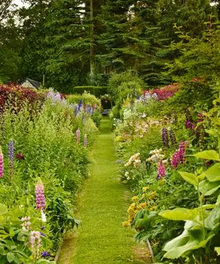 Blomsterbedsideer for å legge en hagesti