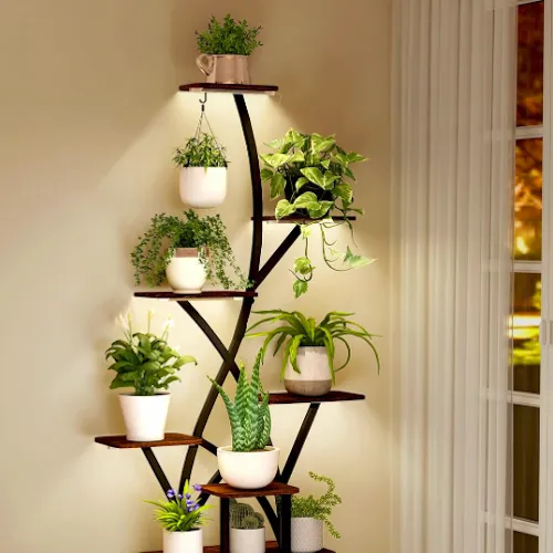 Support pour plantes d'intérieur Amazon avec lampes de culture' loading='lazy' title=