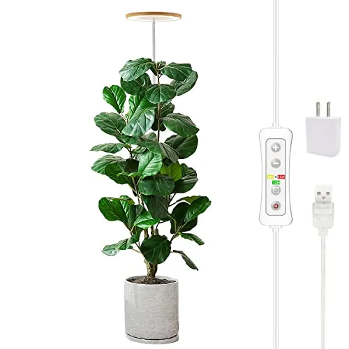 Lampe de croissance des plantes yadoker LED lumière de croissance spectre complet pour plantes d'intérieur minuterie automatique réglable en hauteur 5v faible tension de sécurité idée pour la lumière des grandes plantes' loading='lazy' title=