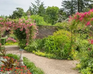 Victoriansk muret have om sommeren på Peckover House National Trust
