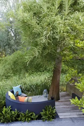 Patio construido alrededor de un árbol con zona para sentarse.