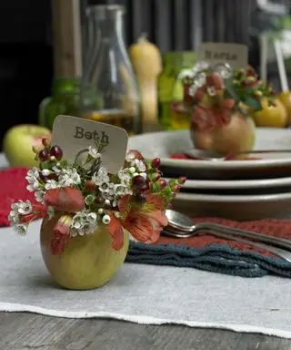 Udendørs spiseideer med æbler brugt som blomster- og stednavnskortholdere på grå dug